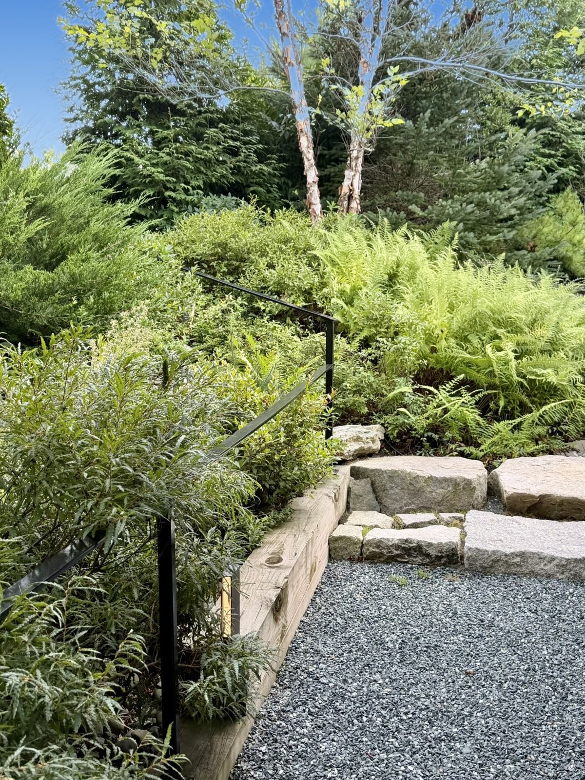 Granite steps and ferns beside the gravel court