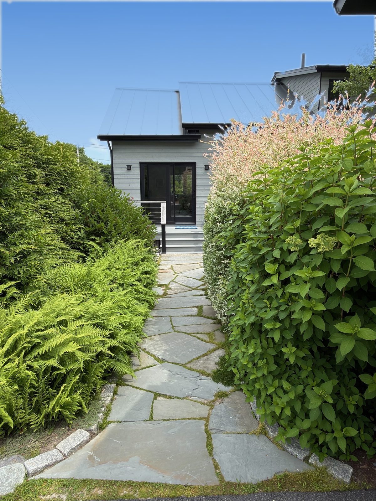 Flagstone path between ferns and hydrangeas to the door